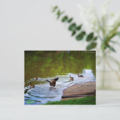 Carte postale d'atterrissage souple (Debout devant)