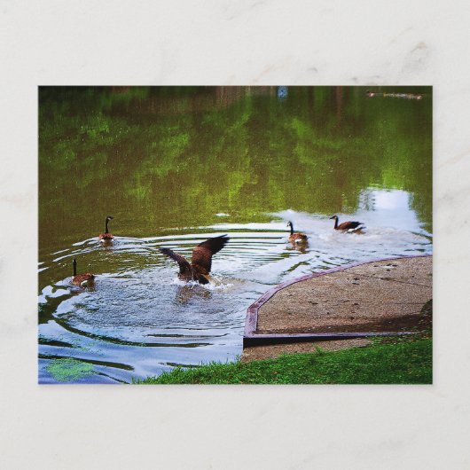 Carte postale d'atterrissage souple (Devant)