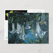 Carte Postale Datura (Devant / Derrière)