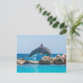 Carte Postale Dauphin (Debout devant)