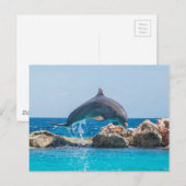 Carte Postale Dauphin (Devant / Derrière)