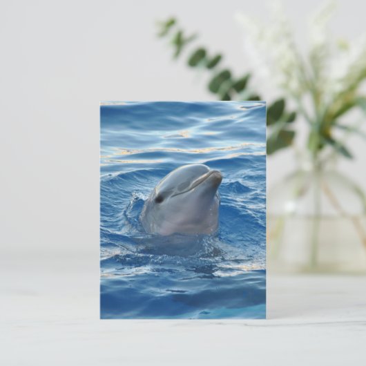 Carte Postale Dauphin (Debout devant)