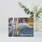 Carte Postale Dauphin (Debout devant)