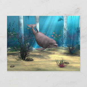 Carte Postale Dauphin