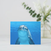 Carte Postale Dauphin (Debout devant)