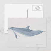 Carte Postale Dauphin à bec (Devant / Derrière)