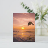 Carte Postale Dauphin à col blanc 2 (Debout devant)