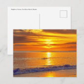 Carte Postale Dauphin au coucher du soleil, Fort Myers Beach, Fl (Devant / Derrière)