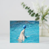 Carte Postale Dauphin ayant une balle (Debout devant)