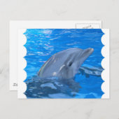 Carte postale Dauphin Bottlenose (Devant / Derrière)