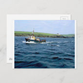 Carte Postale Dauphin de Dingle Fungi (Devant / Derrière)