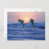 Carte Postale Dauphin de verdure au lever du soleil (Devant / Derrière)