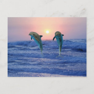 Carte Postale Dauphin de verdure au lever du soleil
