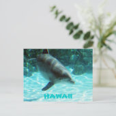 Carte Postale Dauphin d'Hawaii (Debout devant)
