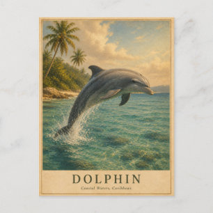 Carte Postale Dauphin Eaux Caraïbes VINTAGE