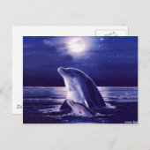 Carte Postale Dauphin et bébé (Devant / Derrière)