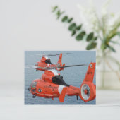 Carte Postale Dauphin HH-65 (Debout devant)