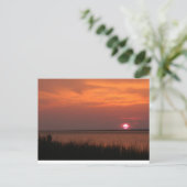 Carte Postale Dauphin Island, AL Sunset (Debout devant)