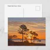 Carte Postale Dauphin Island Refuge Sunrise, Alabama (Devant / Derrière)