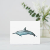 Carte Postale Dauphin longirostre (Debout devant)