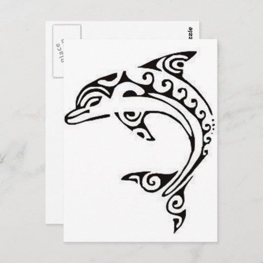 Carte Postale Dauphin maori (Devant / Derrière)