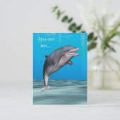 Carte Postale Dauphin mignon (Debout devant)