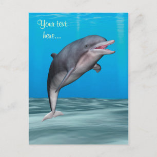 Carte Postale Dauphin mignon