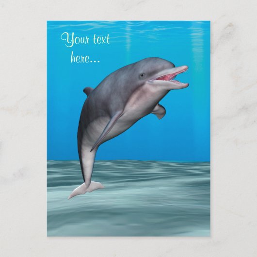Carte Postale Dauphin mignon (Devant)