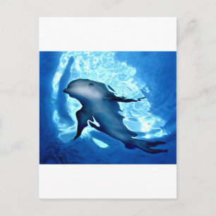 Carte Postale Dauphin mystique.jpg