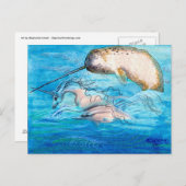 Carte Postale Dauphin, Narwhal et Unicorne (Devant / Derrière)