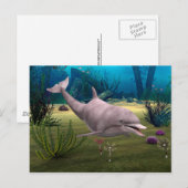 Carte Postale Dauphin souriant (Devant / Derrière)