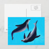 Carte Postale Dauphins (Devant / Derrière)