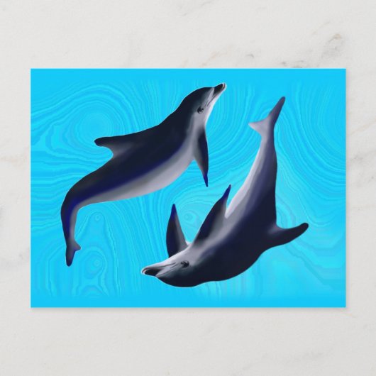 Carte Postale Dauphins (Devant)