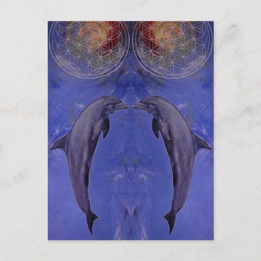 Carte Postale dauphins (Devant)