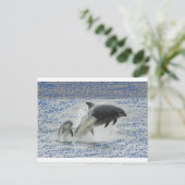 Carte Postale Dauphins (Debout devant)