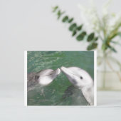 Carte Postale Dauphins (Debout devant)