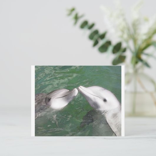 Carte Postale Dauphins (Debout devant)