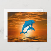 Carte Postale Dauphins (Devant / Derrière)