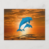 Carte Postale Dauphins (Devant)