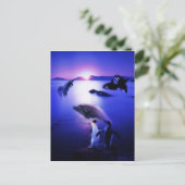 Carte Postale Dauphins de baleines pingouins coucher de soleil s (Debout devant)