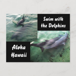Carte Postale Dauphins d'Hawaï