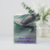 Carte Postale Dauphins d'Hawaï (Debout devant)