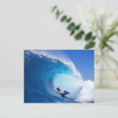 Carte Postale Dauphins du surf (Debout devant)