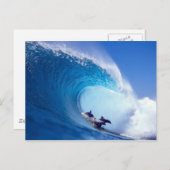 Carte Postale Dauphins du surf (Devant / Derrière)