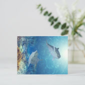 Carte Postale dauphins heureux (Debout devant)
