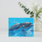 Carte Postale Dauphins souriants (Debout devant)