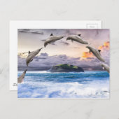 Carte Postale Dauphins volants (Devant / Derrière)