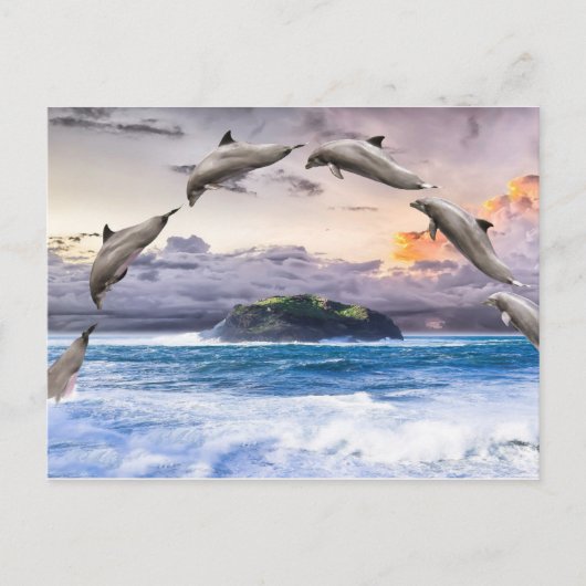 Carte Postale Dauphins volants (Devant)