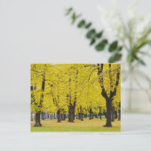 Carte Postale d'Automne (Debout devant)