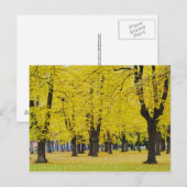Carte Postale d'Automne (Devant / Derrière)